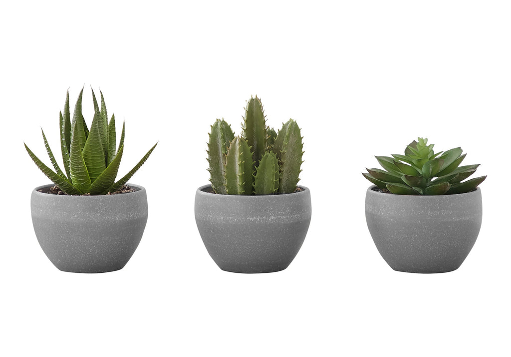 Artificial Succulent Plant Set of 3