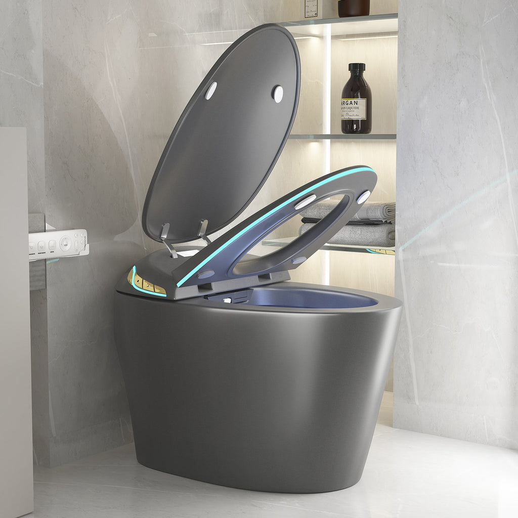 Unique Smart Toilet with Built-in Bidet