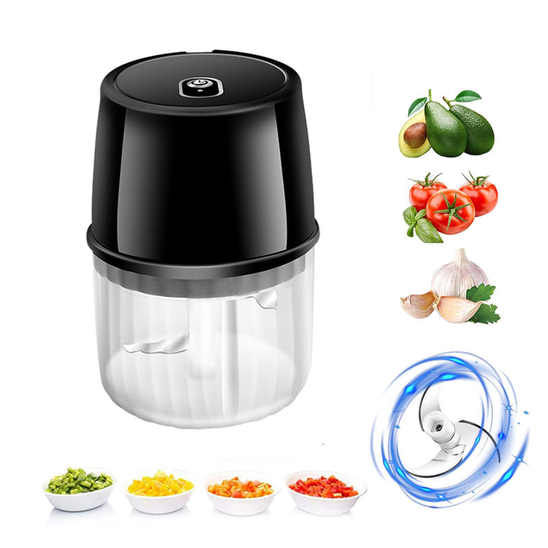 Mini Electric Garlic Chopper & Food Processor, 250ml