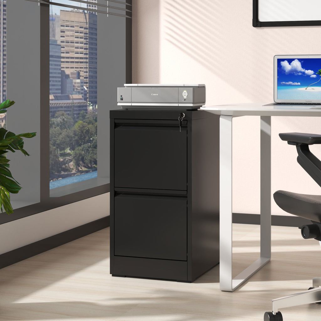 2 Drawer Metal Vertical File Cabinet with Lock