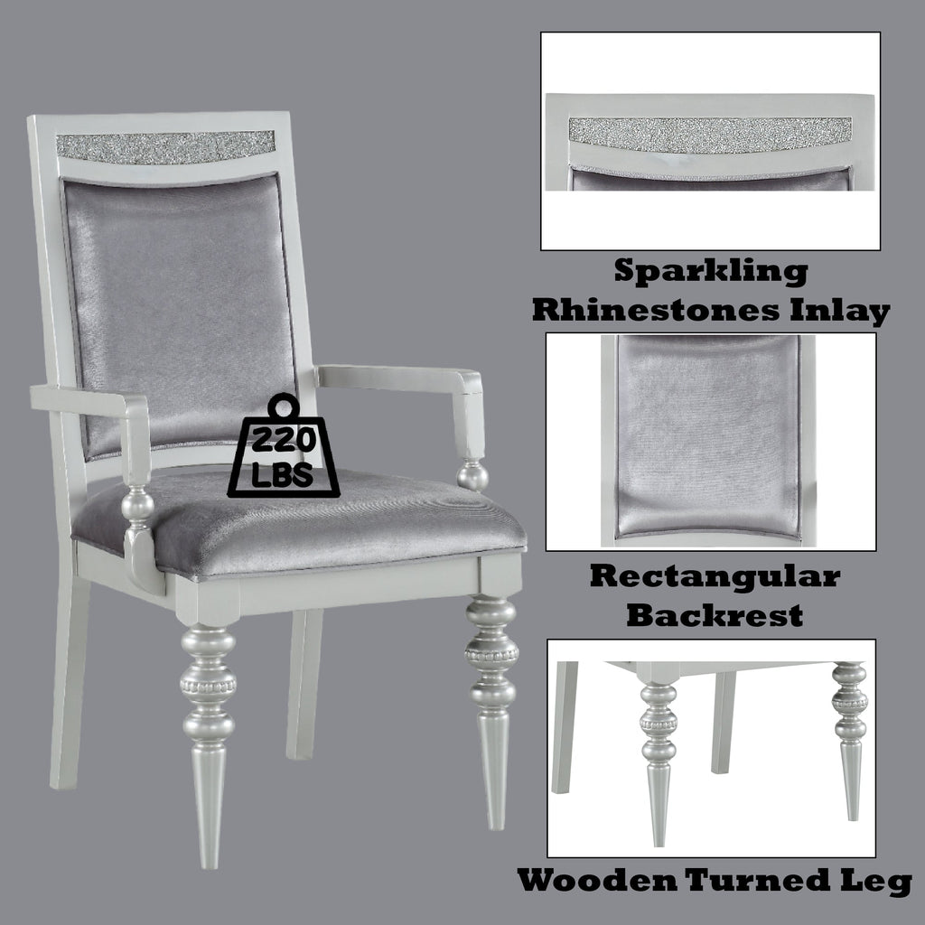 Maverick Fabric & Platinum Finish Arm Chair Set of 2