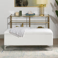 Madelyn 49" Modern Storage Bench, Bright