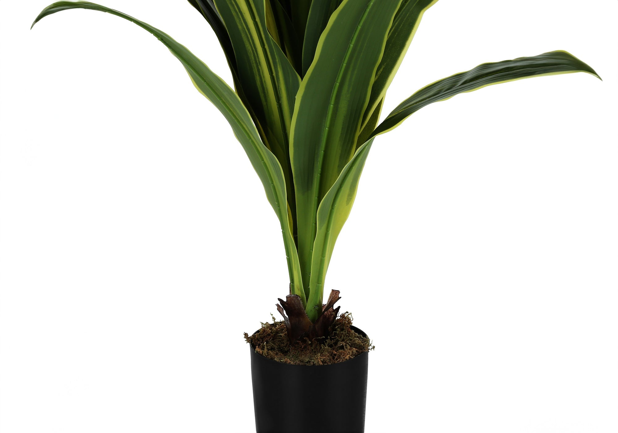 Artificial Dracaena Tree - 47" Tall Indoor Plant