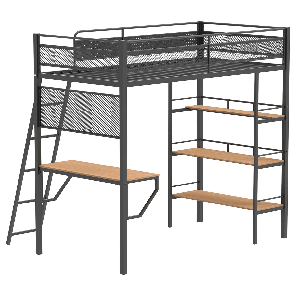 William Matte Twin Loft Bed
