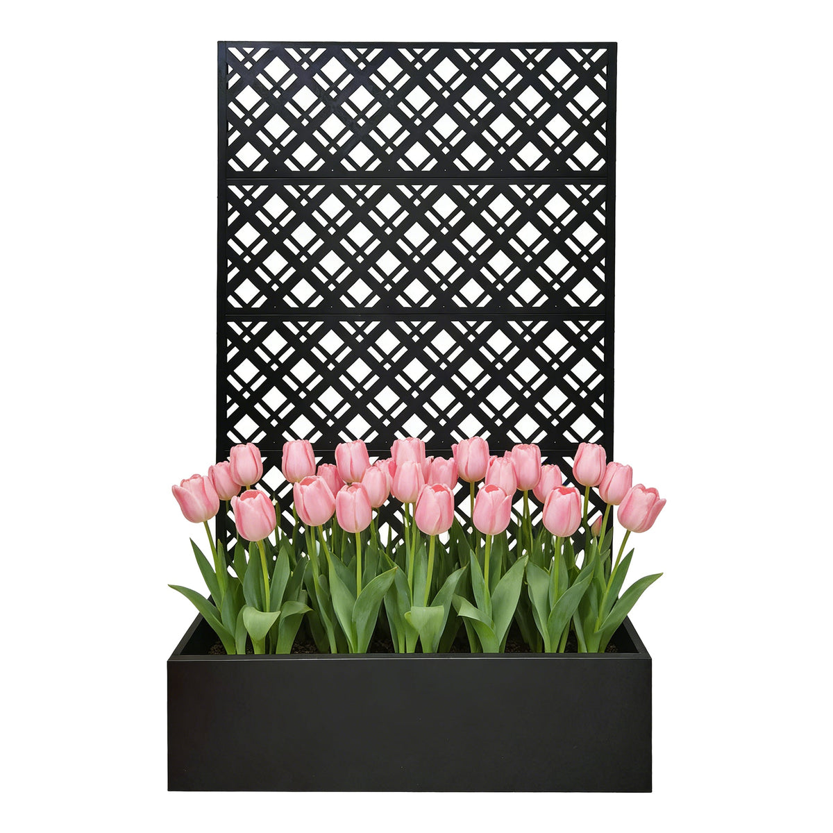 Metal Planter Raised Garden Bed with Trellis