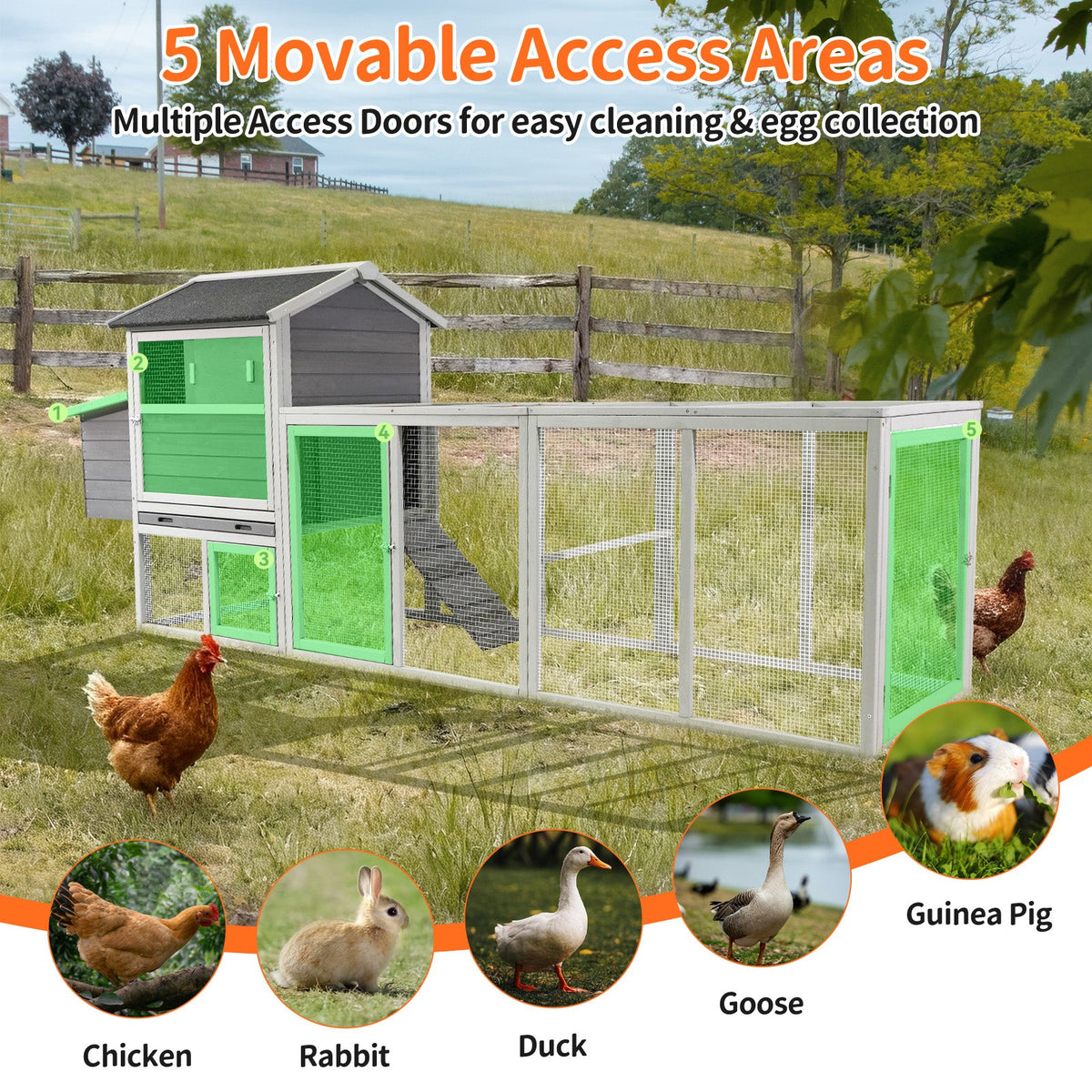 Gray Wooden Chicken Coop