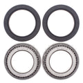 All Balls Racing 00-07 Can-Am DS650 Wheel Bearing Kit Rear 25-1432
