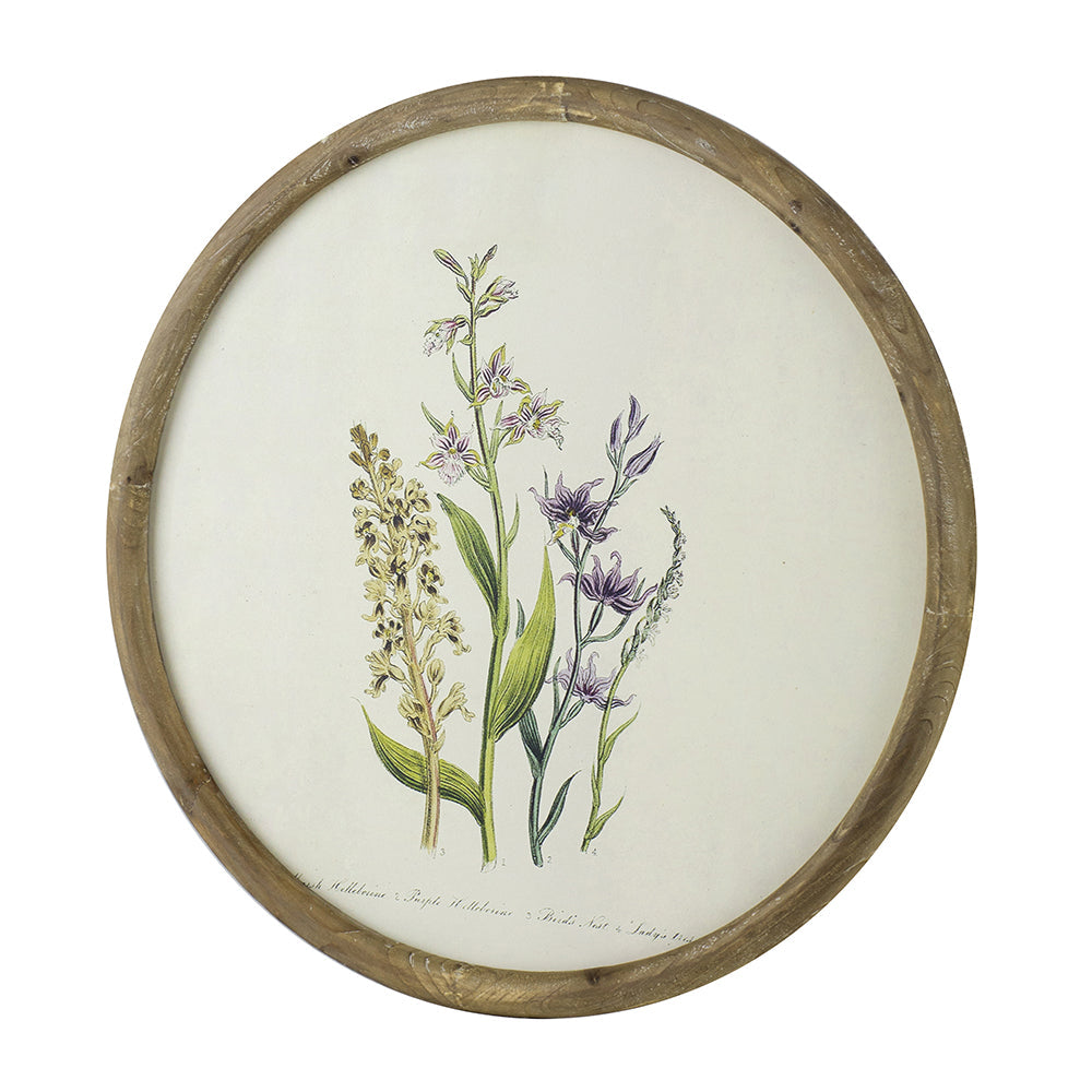 Flora Print Round Frame Set of 4