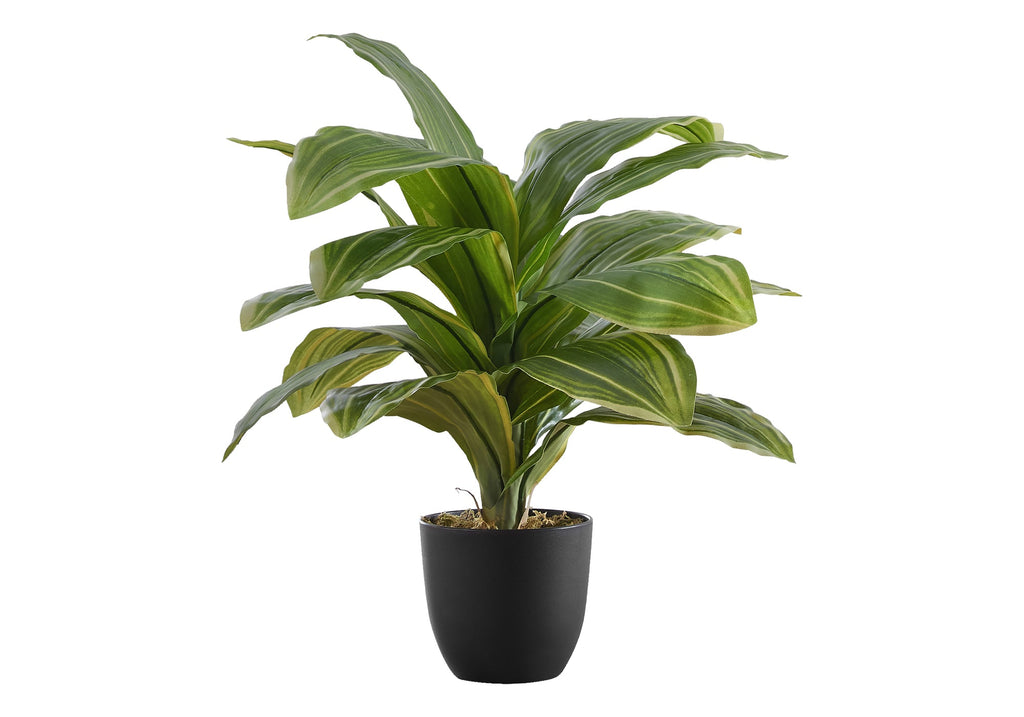 Artificial Dracaena Plant - 17" Tall Indoor Decoration