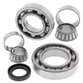 All Balls Racing 88-05 Kawasaki KLF300B Bayou Differential Bearing & Seal Kit Rear 25-2038