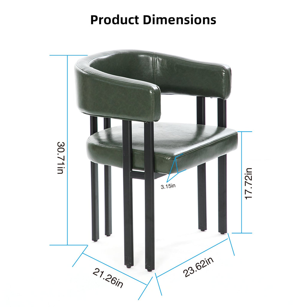 Modern Dining Chairs Set of 2