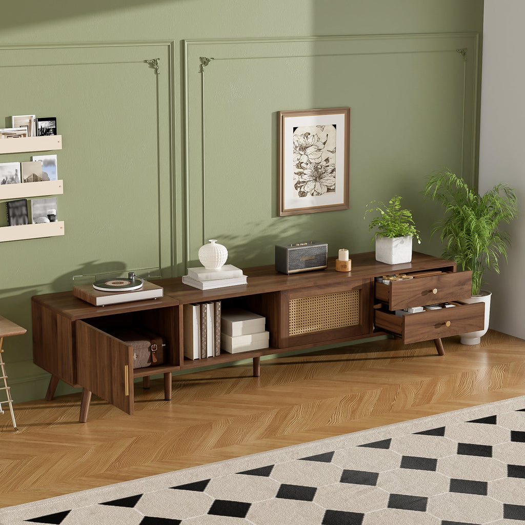 Modern Rattan Doors TV Stand for TVs up to 85 Inches
