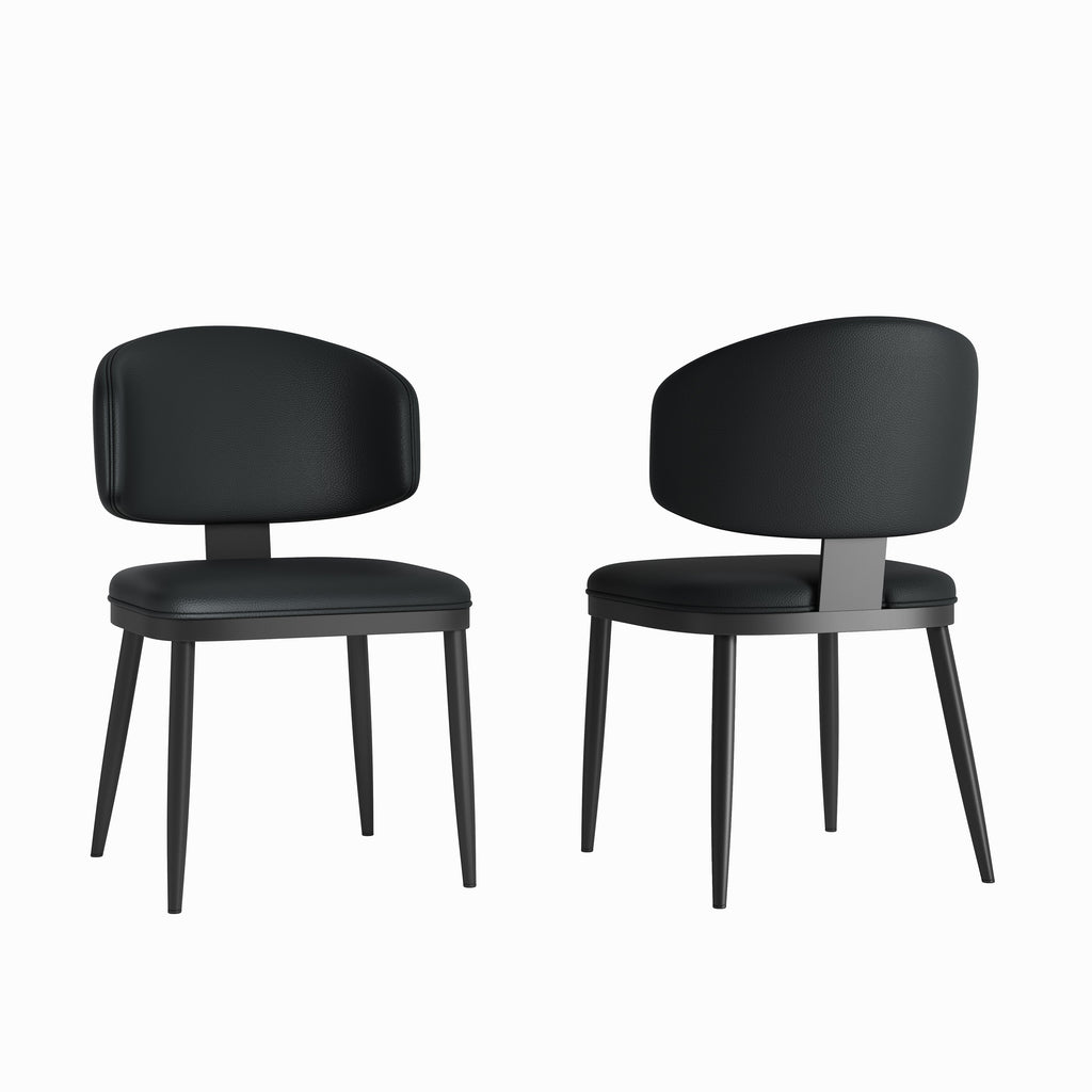 Dining Chairs Set of 2