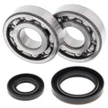 All Balls Racing 89-93 Suzuki RM250 Crank Shaft Bearing Kit 24-1019