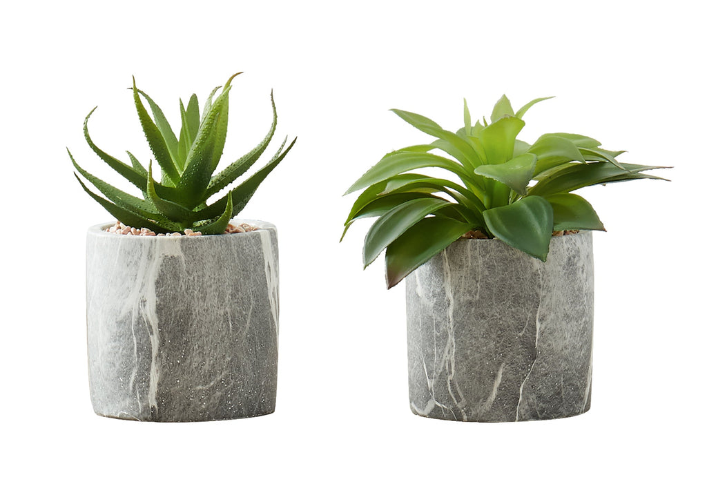 Artificial Plant Set of 2 - Indoor Succulent