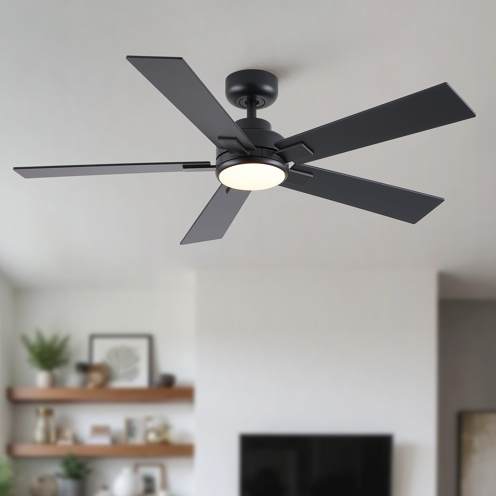 52" Matte Ceiling Fan with Light