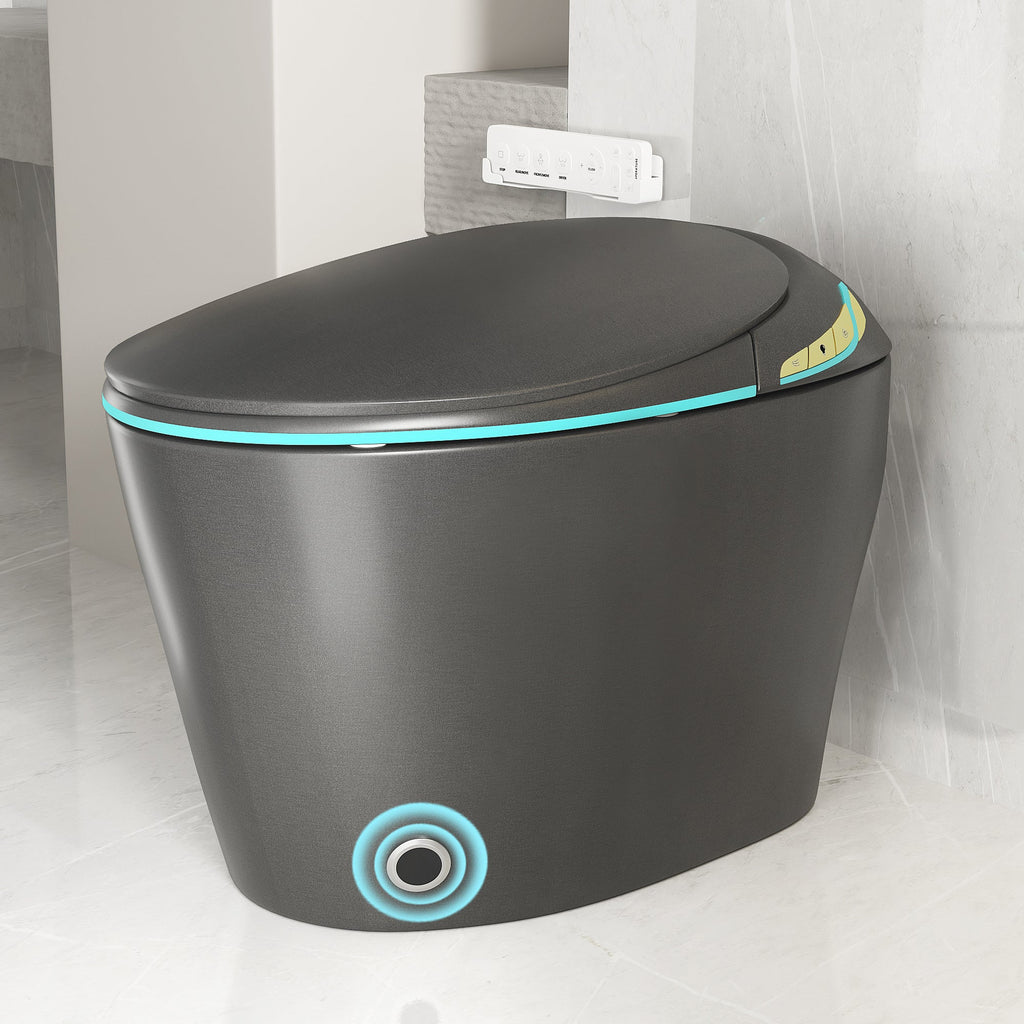 Unique Smart Toilet with Built-in Bidet