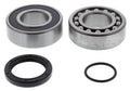 All Balls Racing Drive Jackshaft Bearing Seal 14-1071