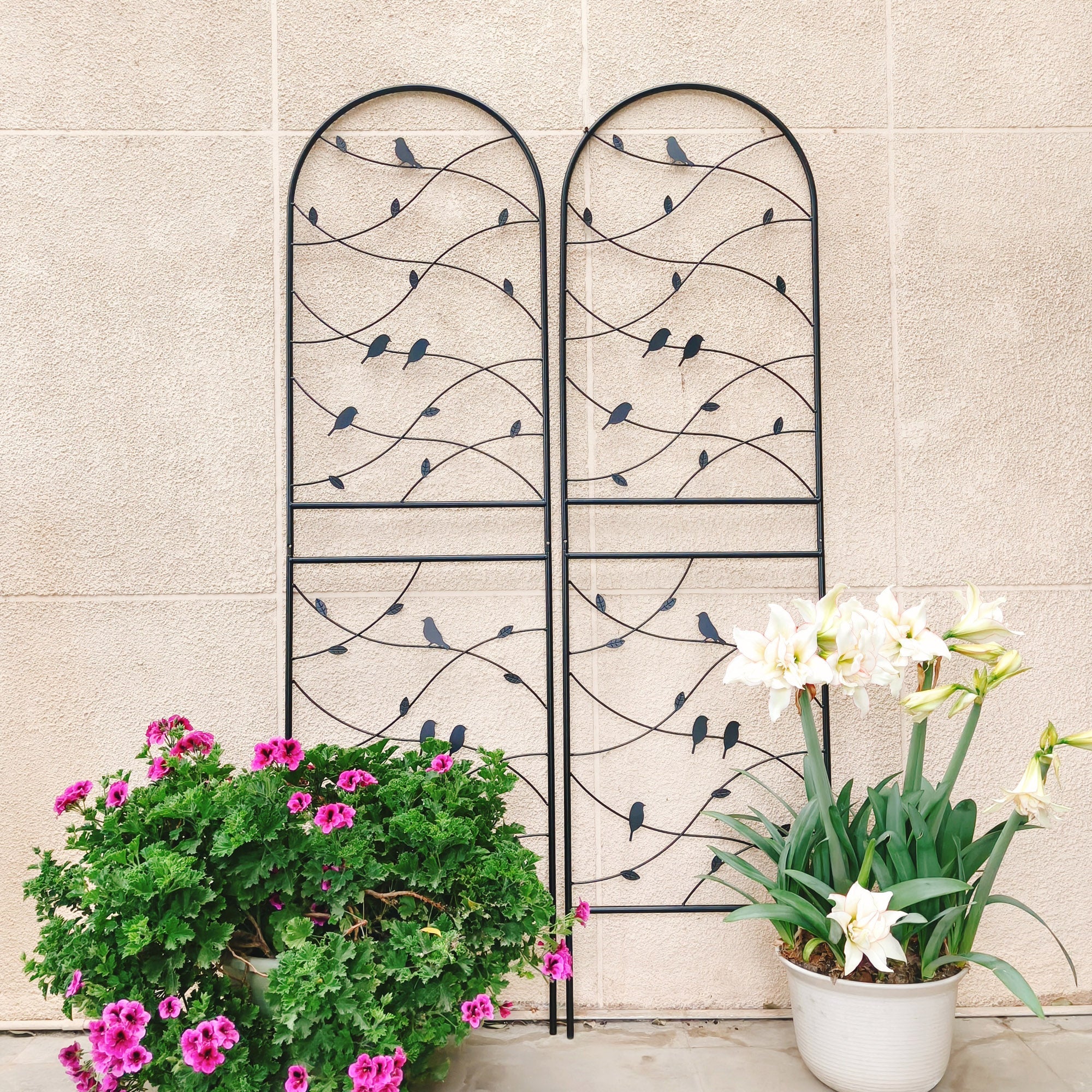 2 Pack Metal Garden Trellis 71" x 19.7"