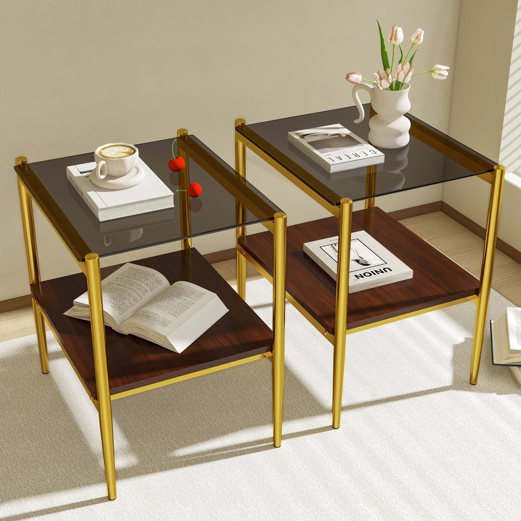 Set of 2 Rectangle End Tables with Tempered Glass Top