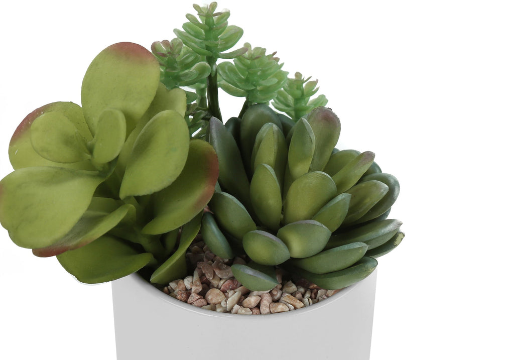 Artificial Succulent Plant Set of 2