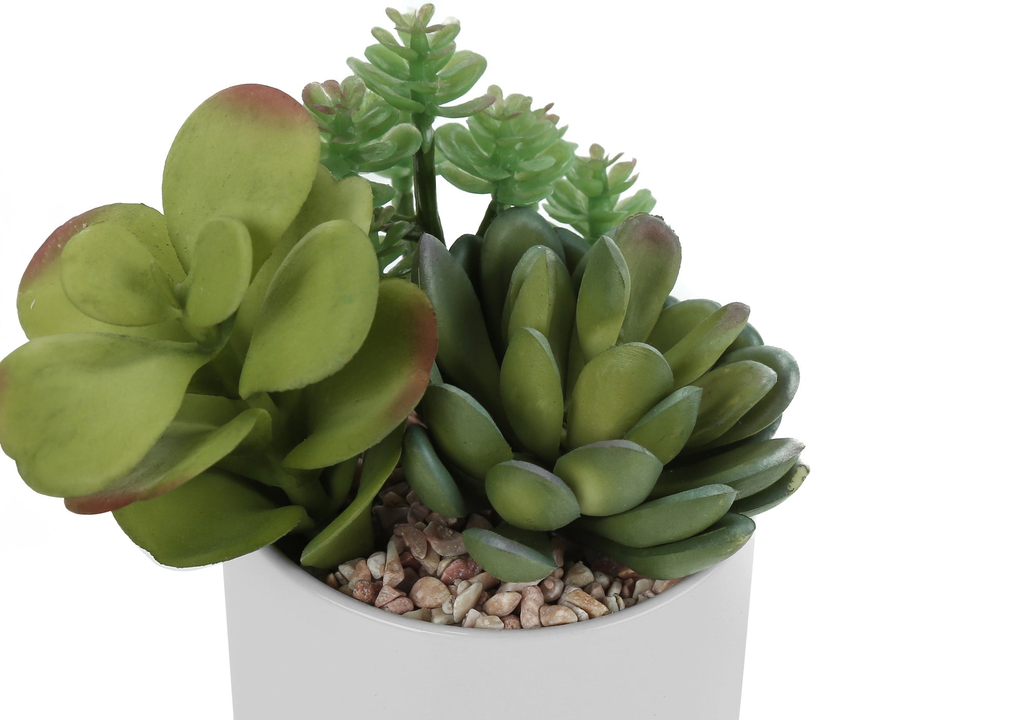 Artificial Succulent Plant Set of 2
