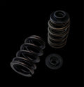 Brian Crower Polaris XP Turbo (16-up) / XP 1000 (14-up) Beehive Spring/Steel Retainer w/No Shim Capture/OEM Seat Kit BC0900BX