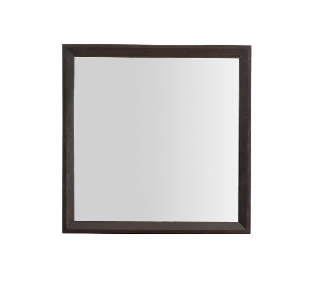 Primo G1300-M Mirror
