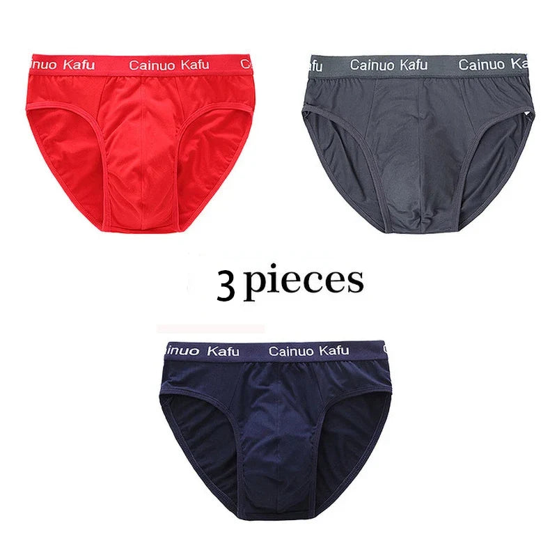 3Pcs/Lot Men's panties Silk  Men's Underwear New  Briefs Men Bamboo Fiber Mens Bodysuit Male Comfortable Solid Underpants