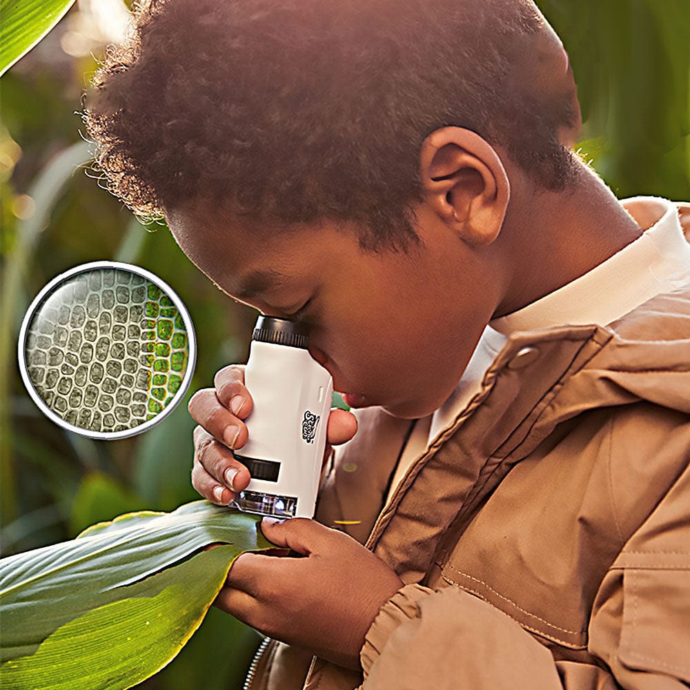Kids Handheld Microscope 60-120x Educational Mini LED Light
