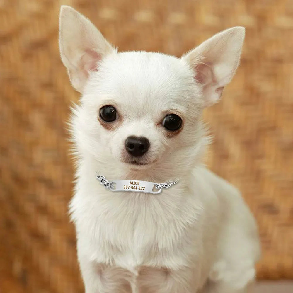 Personalized Cat Dog Chain Collar Customized Engraved Pet Collars Small Dogs Cats Necklace NamePlate Chihuahua Yorkshire