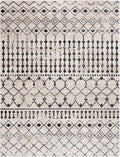 Joppatowne Washable Area Rug - Clearance