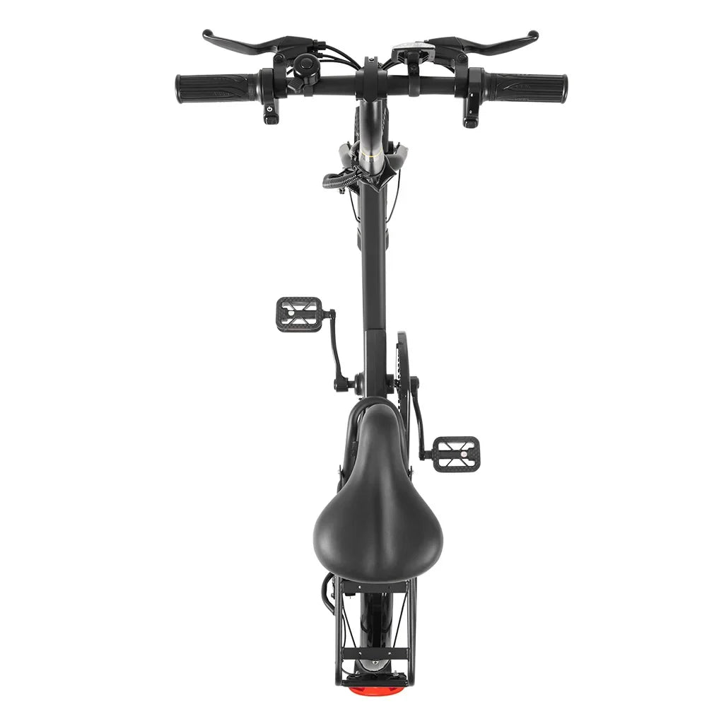 DYU-C3 Folding Electric Bike - Lightweight, 36V, 200W, 14-Inch Wheels