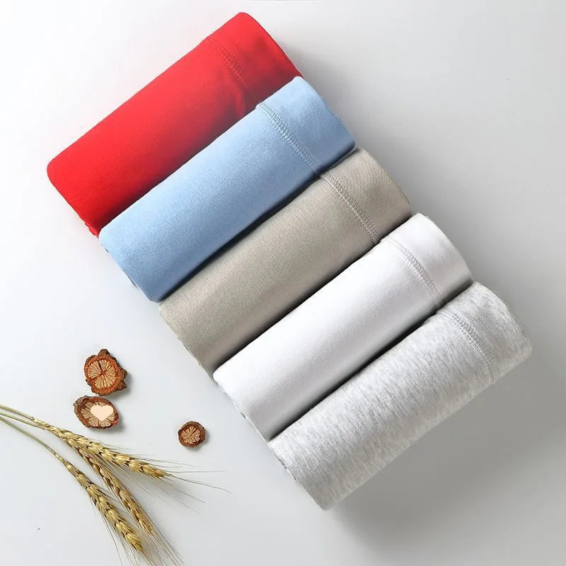 2Pcs/lot Men's Underwear 100%Cotton Briefs Sexy U Pouch Solid Color High Waist Panties Breathable Comfortable Male Underpants