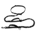 Double elastic reflective running leash portable retractable dog leash dog chain leash pet supplies wholesale