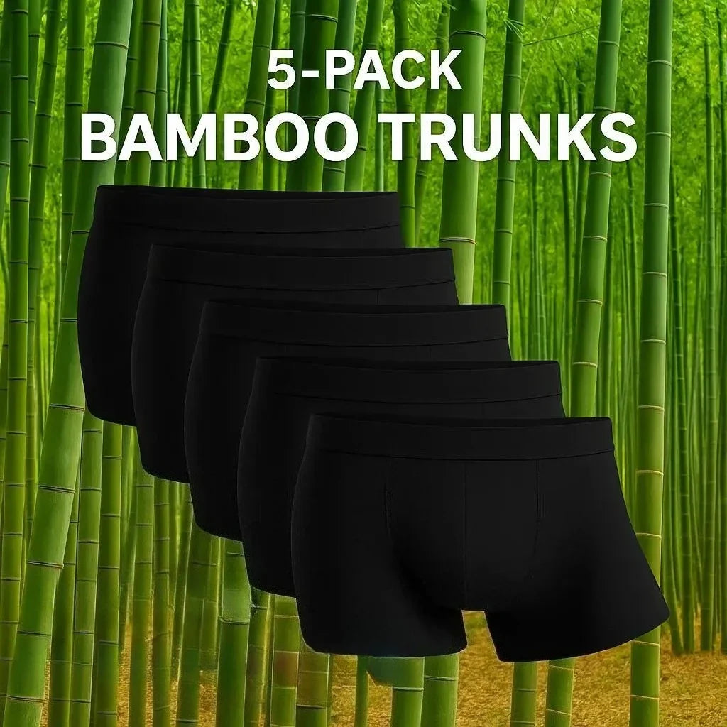 5 Packs Bamboo Fiber Man Plus Size S-2XL Underwear Men Flat Feet Gym Shorts Panties Black Underpants Gifts