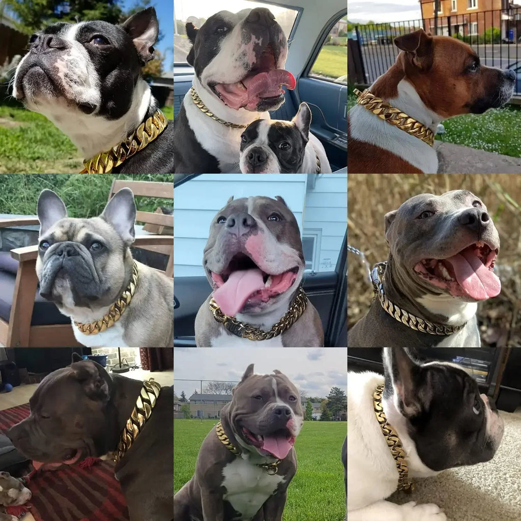 32mm Strong Stainless Steel Cast Gold Dog Collar Solid Buckle Necklace Bully Fighting Large Dog Dog Chain