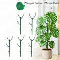 Monstera Plant Support Stakes 5 Support Frames and 1 Roll Velcro, Garden Stakes Designed Specifically Climbing Plant Stems
