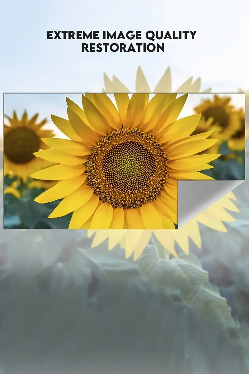 60-110 inch simple anti light screen suitable for office, outdoor, and indoor use, portable projection screen