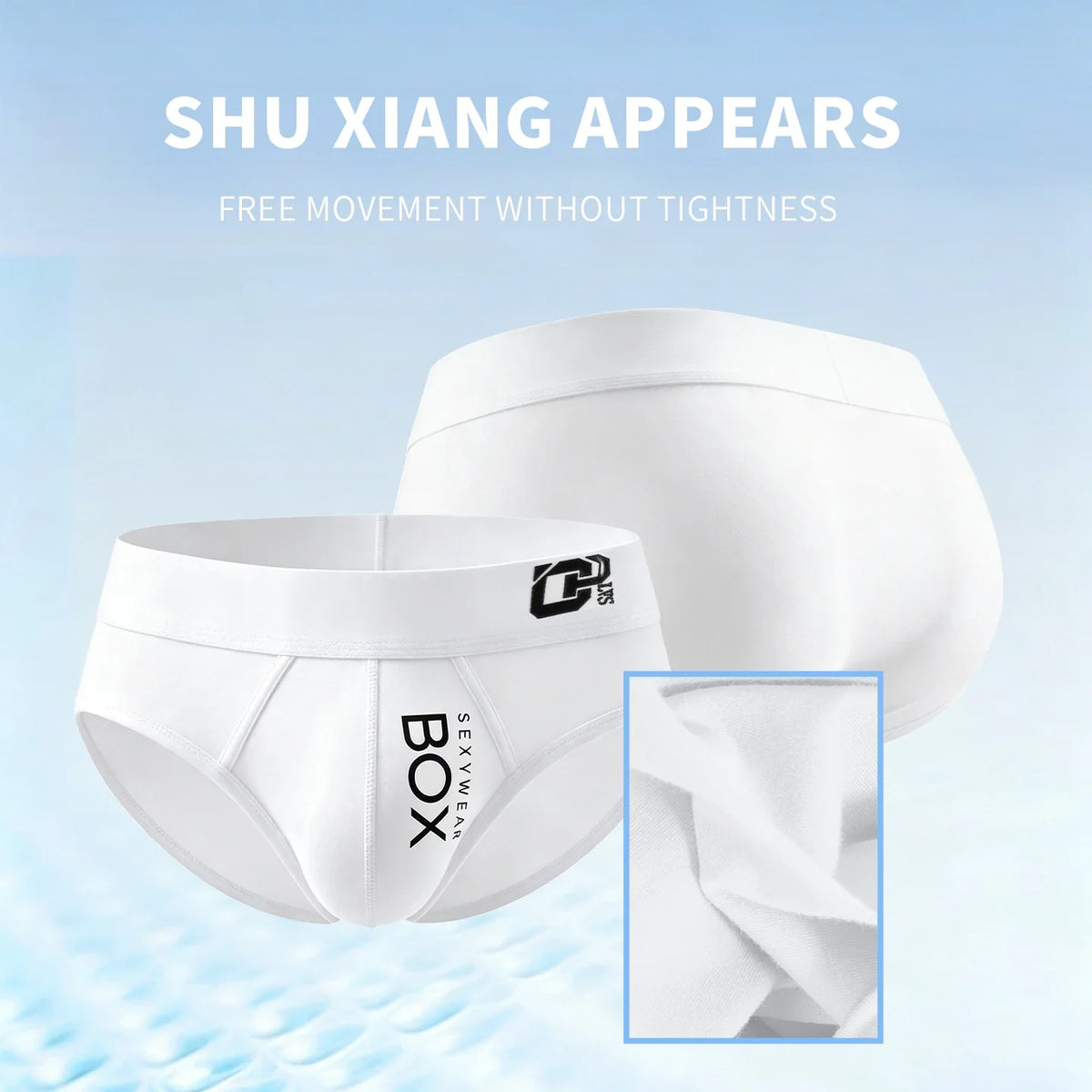1/2Pcs High Quality Low Waist Sexy Mens Underwear Briefs Letter Print Men's Lingerie Cotton Men's Briefs Bikini Man Underpants