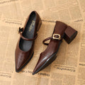 New Designer Vintage Pointed Toe Women Mary Jane Shoes Fashion Shallow Buckle Shoes Ladies Elegant Dress Thick Heel Shoes