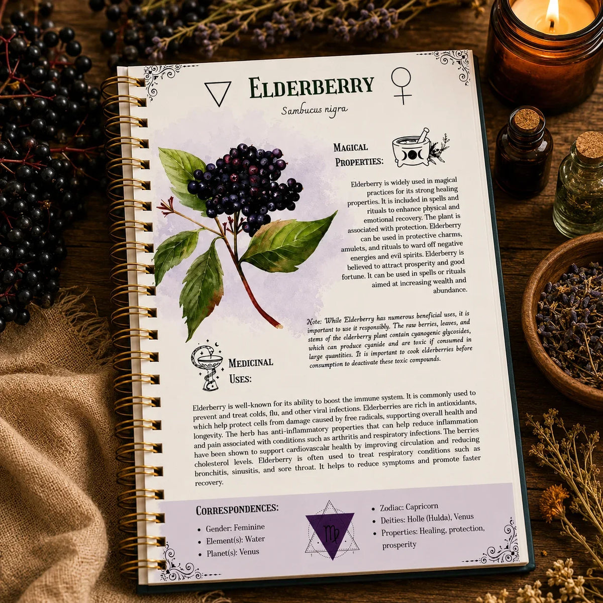 Ancient Remedies Healing Handbook 2026 Herbal Medicine Guide Natural Home Remedies for Wellness and Immune Support Books