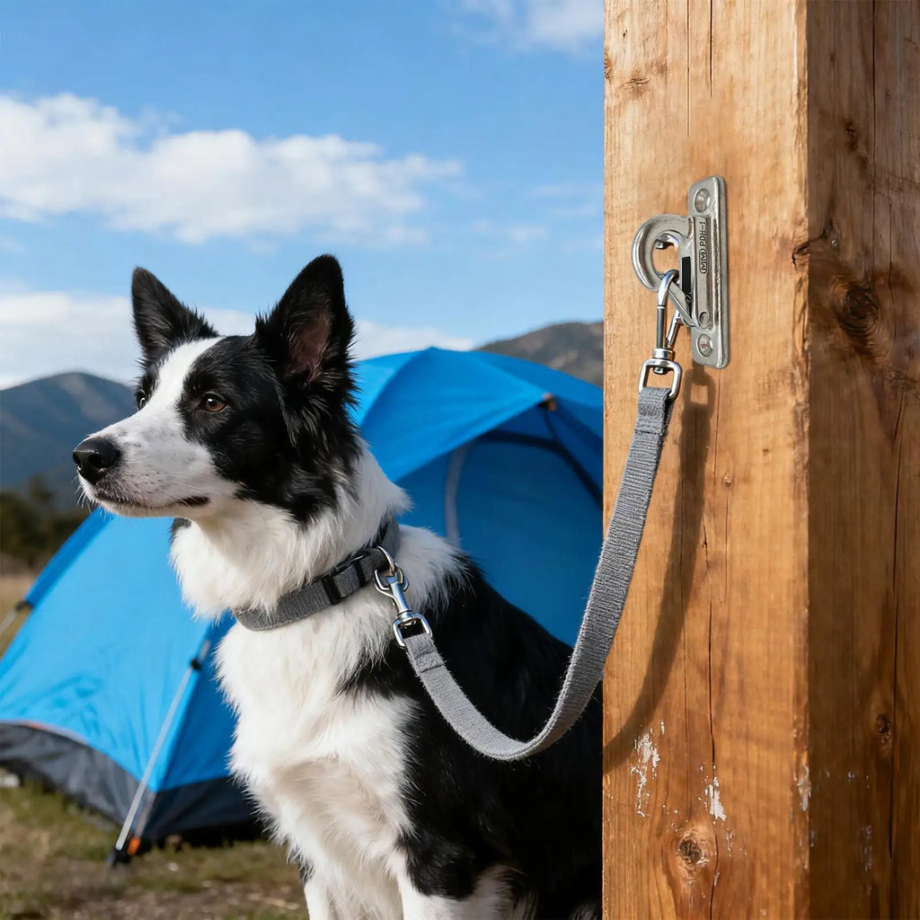 Dog Traction Rope Hook for Wall Dog Leashes Hanger Pet Chain Parking Hook Stainless Steel Dog Leashes Holder for Outdoor