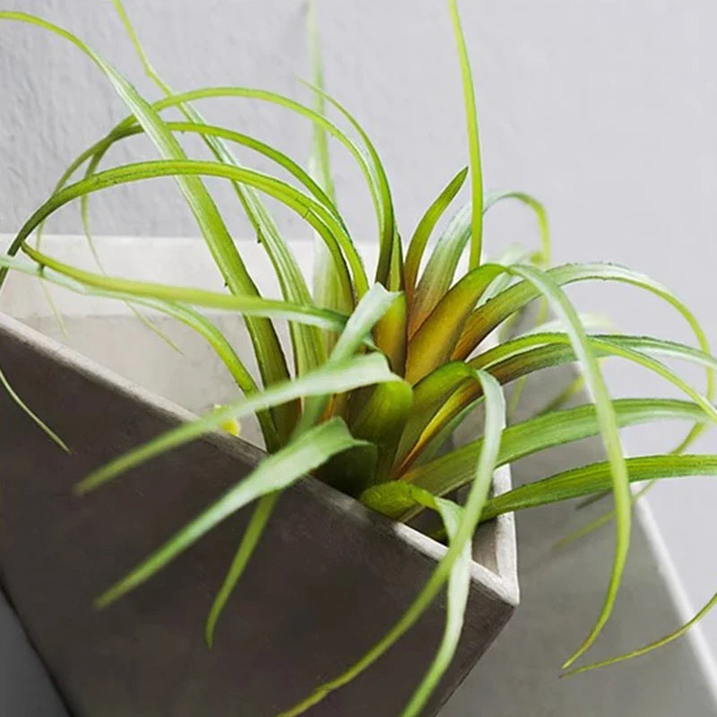 Wall Art Vases Aesthetic Decoration Home Vases Modern Room Design Figurines Jardiniere Ikebana Stem Holder Jardiniere Creative