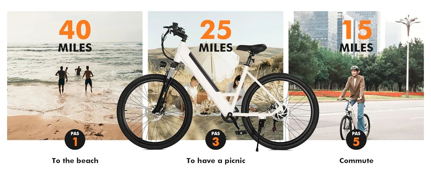 eBike Boys 750W Electric Bike - Step-Through Frame, 36V Battery