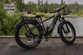 eBike Boys 52V 750W Adult eBike - 17AH Battery, Top Speed 32km/h
