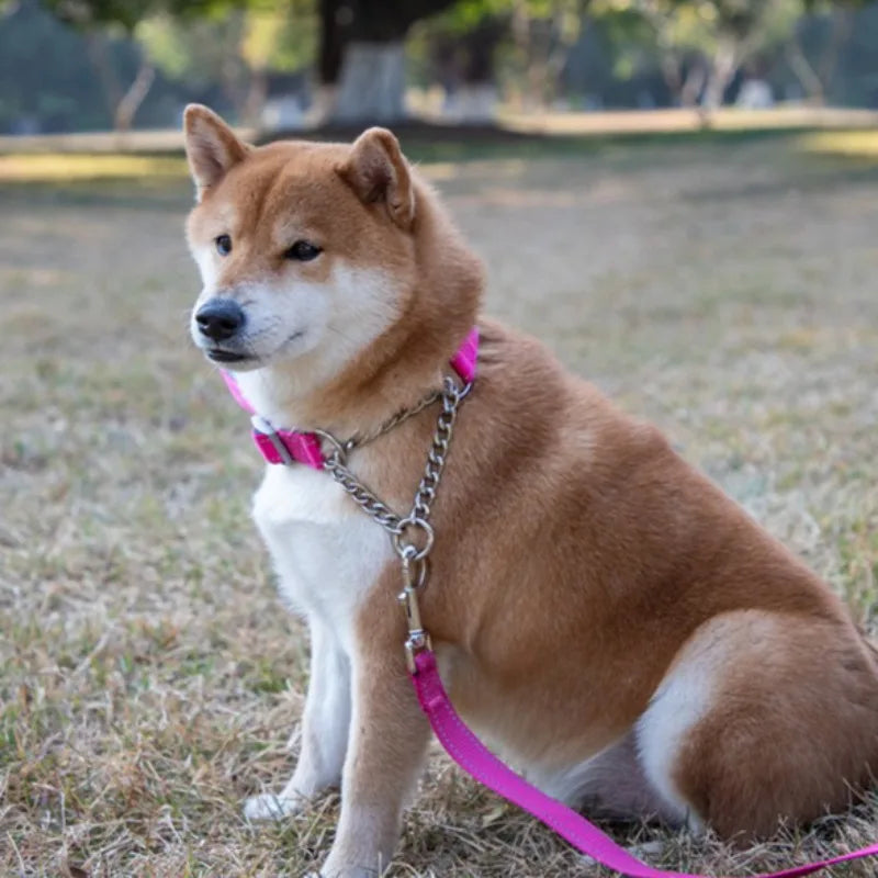 Dogs Collar Dog Choker Adjustable Dog Chain Reflective Nylon Fabric Pet Collars for Small Medium Large Dogs