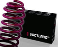 Vogtland LOWERING SPRING KIT00-09 Honda S2000