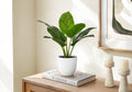 Artificial Plant - 17" Tall Aureum - Indoor Faux Greenery