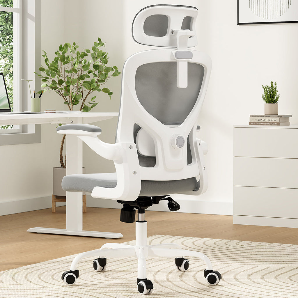Ergonomic Office Chair for Home Office Study Room